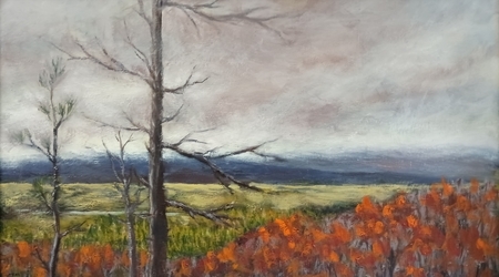 OCTOBER COLOURS 18X10 OIL
