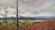 OCTOBER COLOURS 18X10 OIL