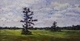 SENTINEL 30X18 ACRYLIC